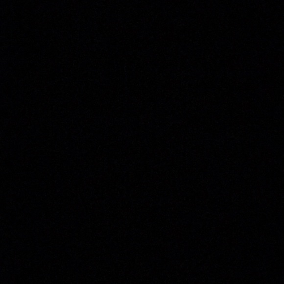 Meet your Posher, Daisy - Picture 1 of 1